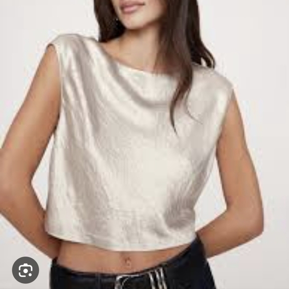 Banana Republic (BR) NWT Sleek Goldish Sleeveless Top Sz L - Picture 2 of 6